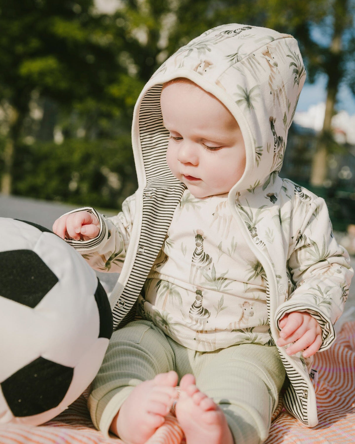 Organic Cotton Jersey T-Shirt And Cotton Rib Pants Set Beige Zebra Print And Sage Green-1