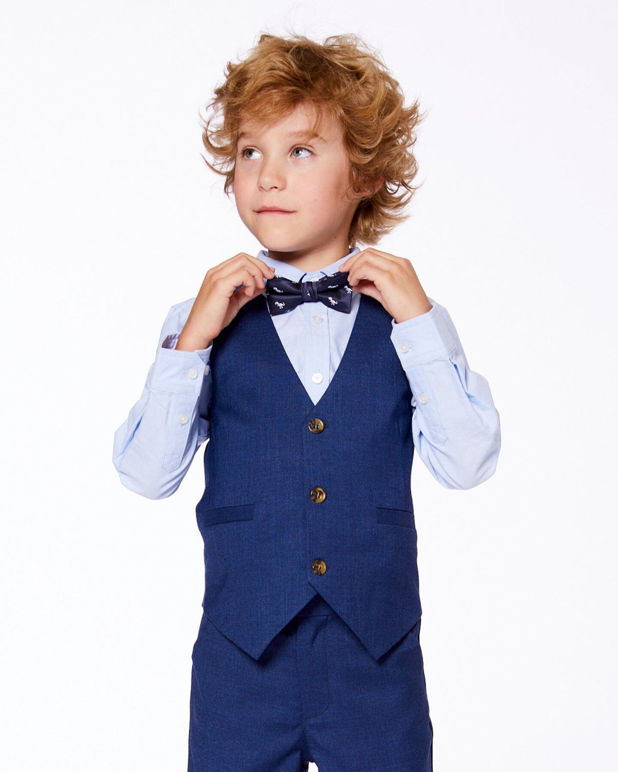 Bow Tie Blue Dino Print-1
