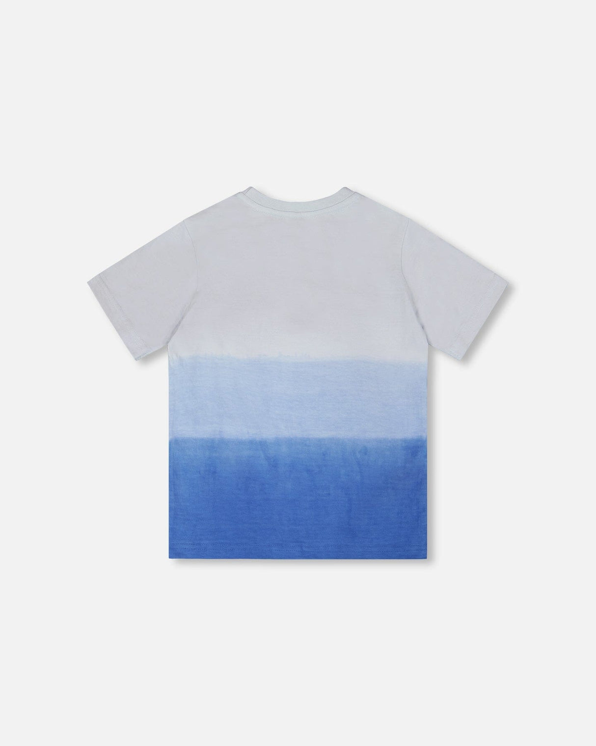 Organic Cotton Jersey T-Shirt With Print Gradient Pale Blue-2