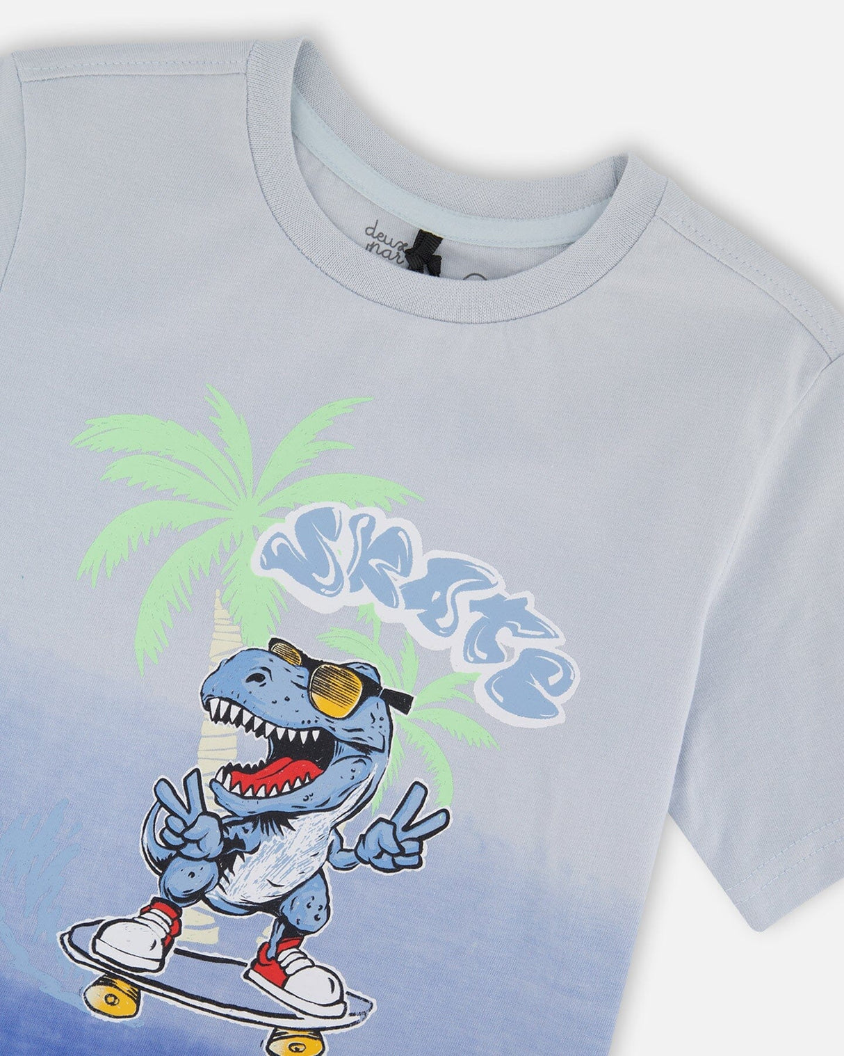 Organic Cotton Jersey T-Shirt With Print Gradient Pale Blue-3