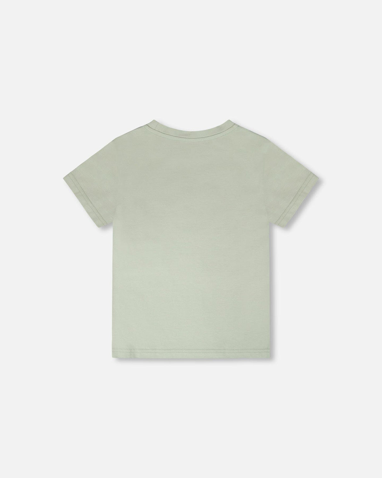 Organic Cotton Jersey T-Shirt With Print Sage-3