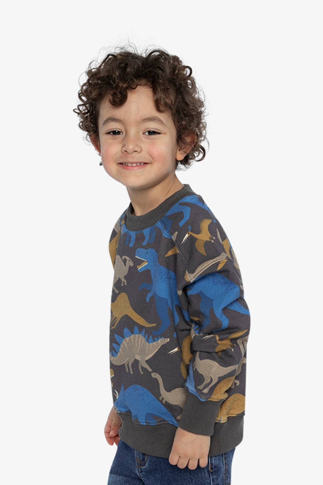 Fleece Sweatshirt Grey Dinosaur Print-2