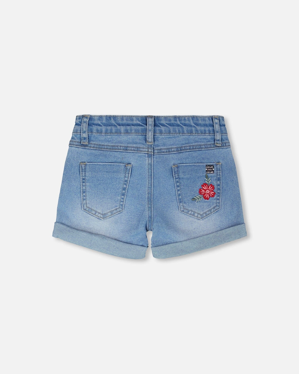 Light Blue Denim Shorts With Embroidery-2
