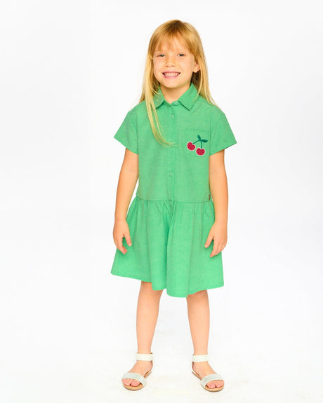 Cotton Shirt Dress With Embroidery Green-1