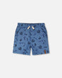Chambray Shorts Blue Printed Skateboards-0