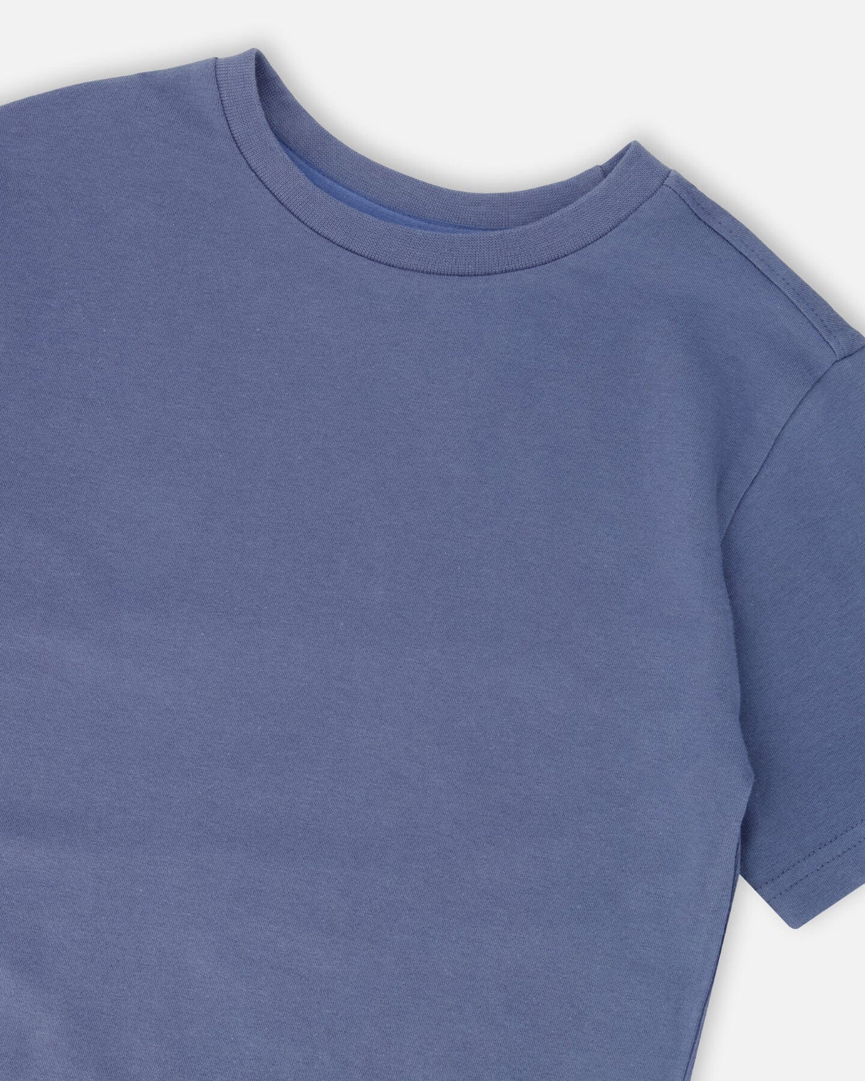 Organic Cotton Jersey T-Shirt Solid Blue-2
