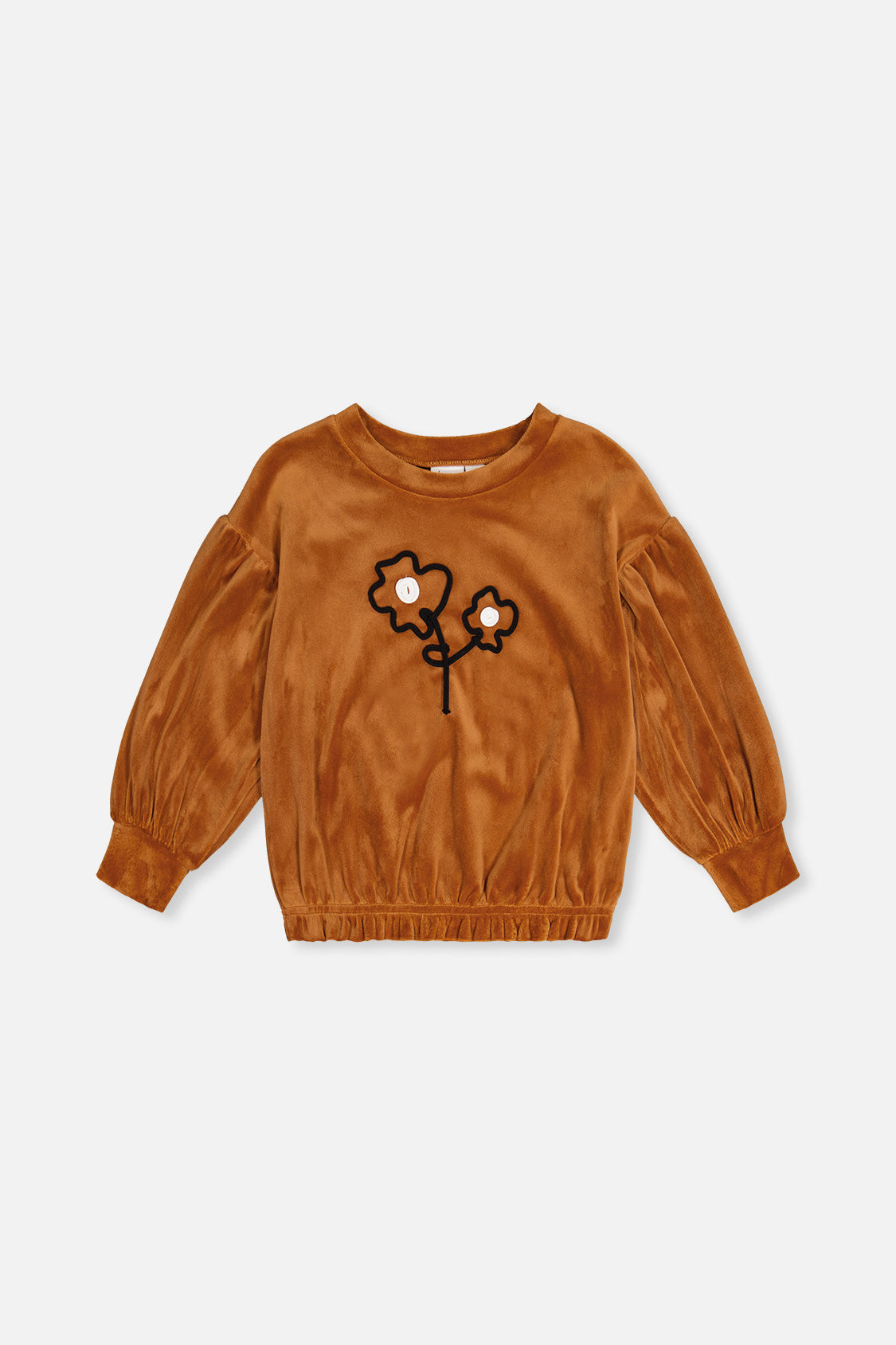 Velvet Top Brown-0