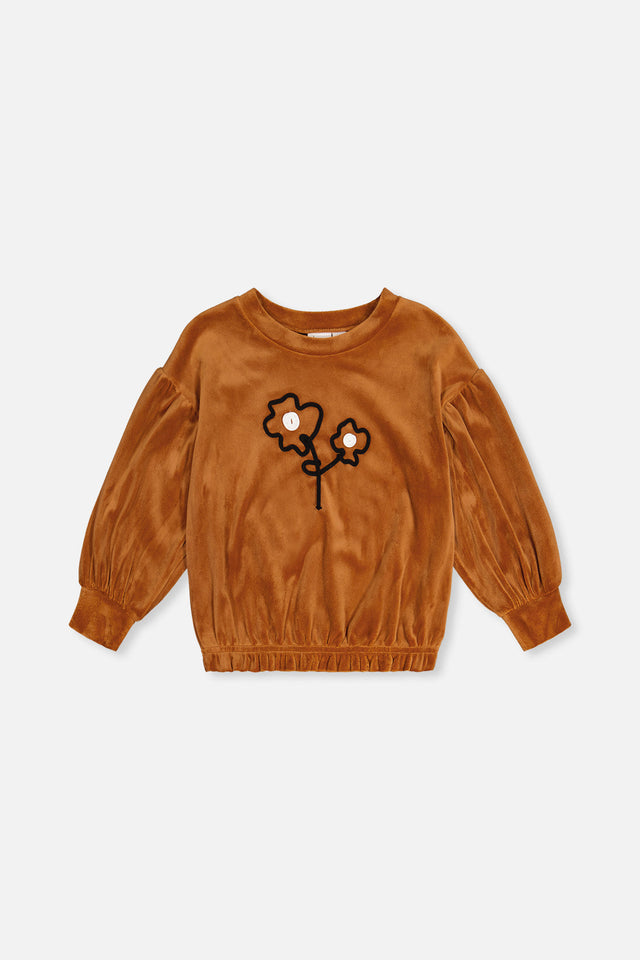 Velvet Top Brown-0