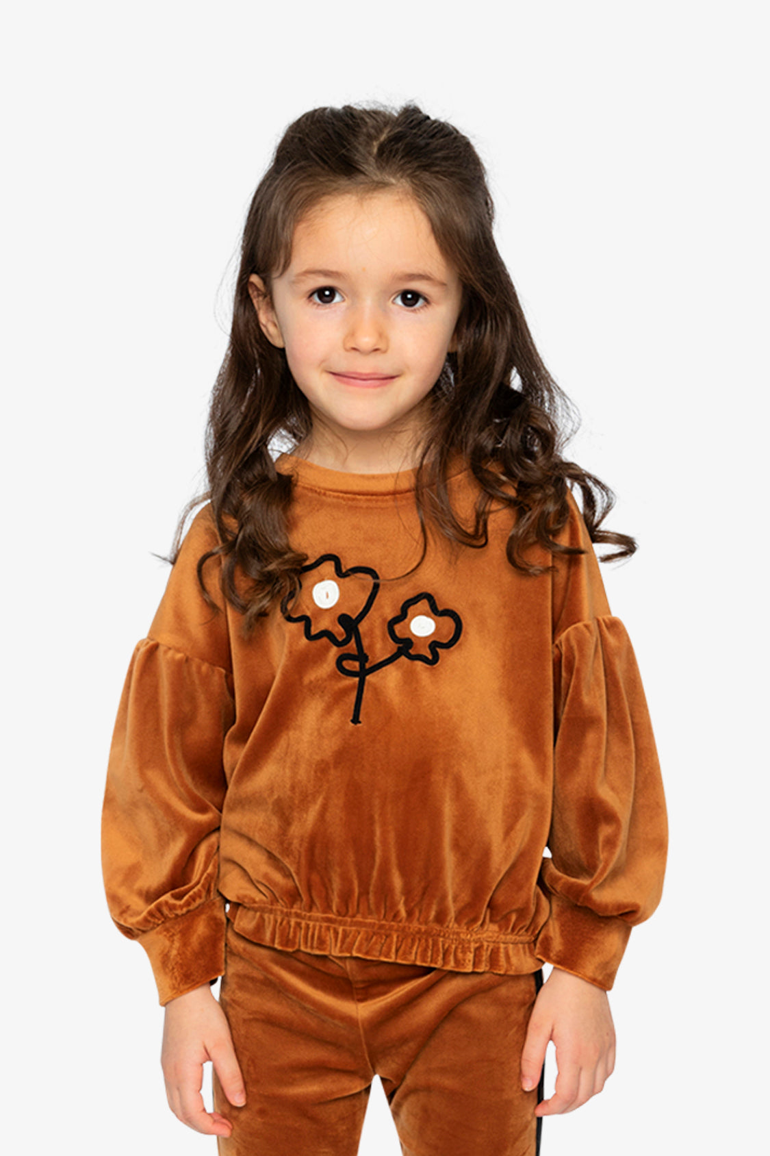 Velvet Top Brown-1