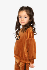 Velvet Top Brown-2