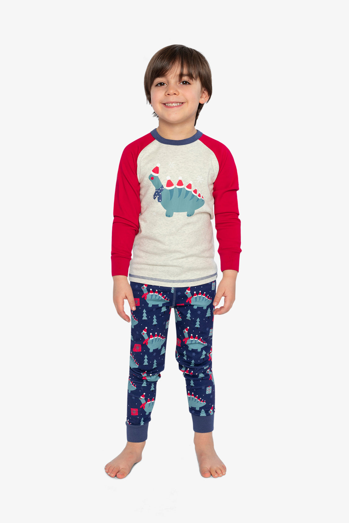 Organic Cotton Two Piece Pajama Set Blue Dinosaur Print-1