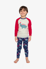 Organic Cotton Two Piece Pajama Set Blue Dinosaur Print-1