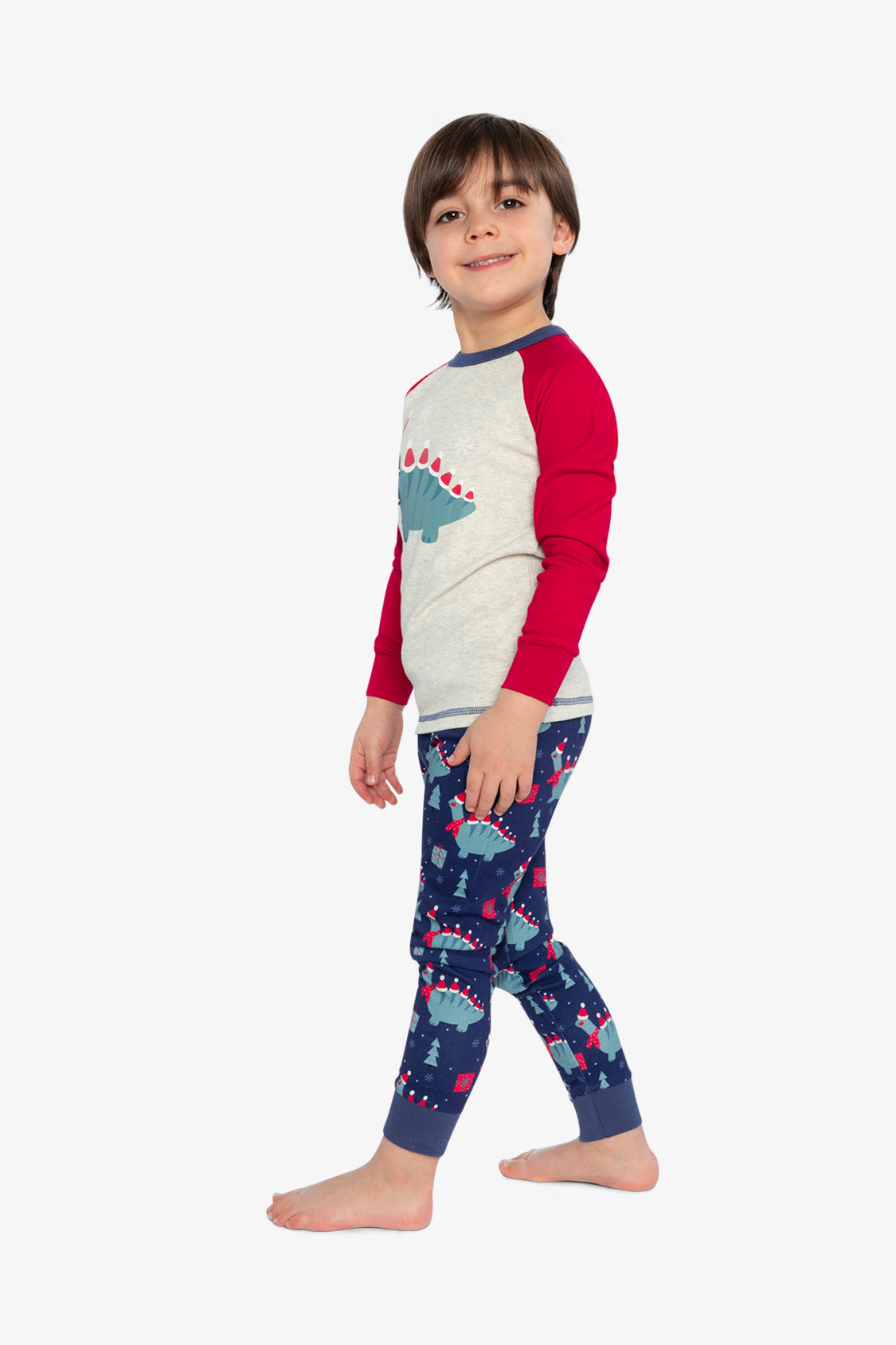 Organic Cotton Two Piece Pajama Set Blue Dinosaur Print-2