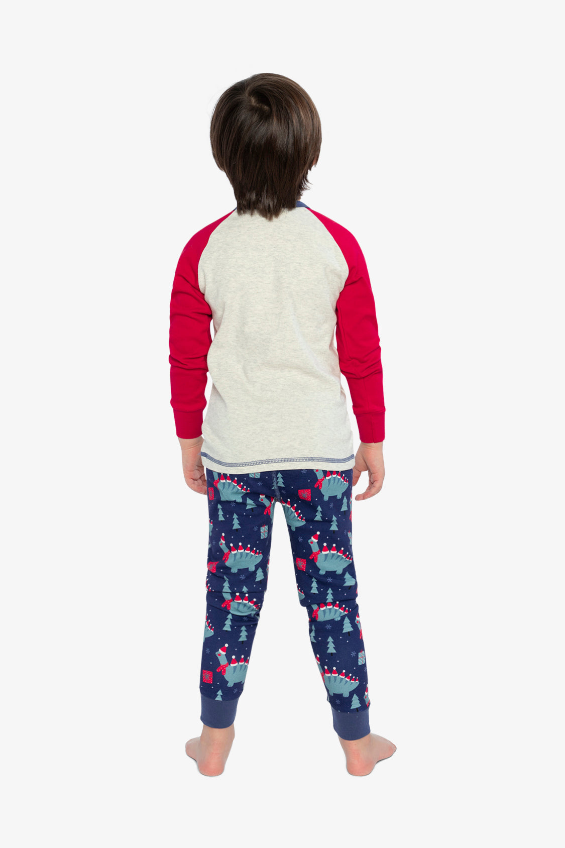 Organic Cotton Two Piece Pajama Set Blue Dinosaur Print-3