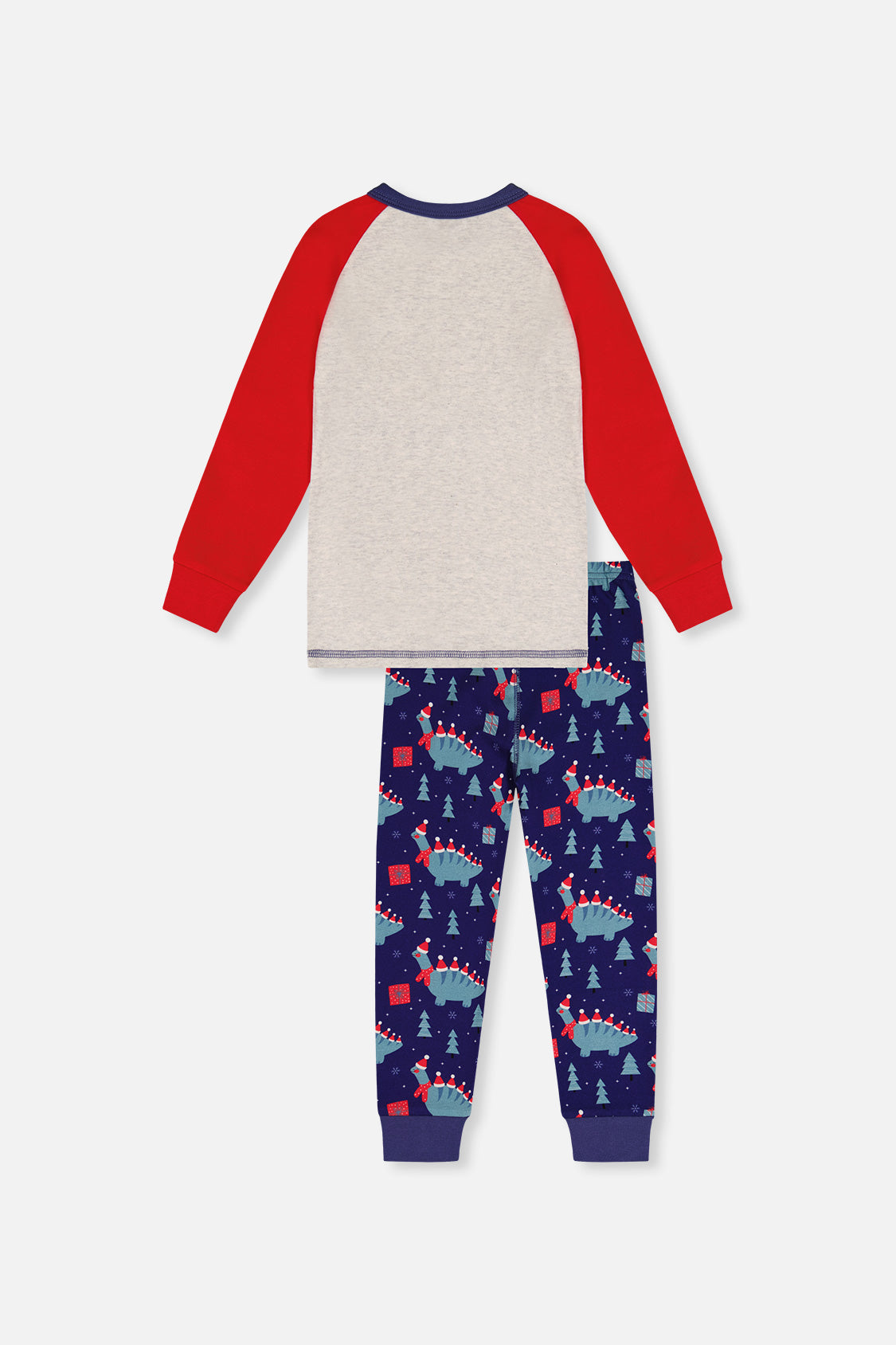 Organic Cotton Two Piece Pajama Set Blue Dinosaur Print-4