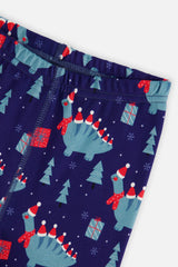 Deux par Deux Organic Cotton Two Piece Pajama Set Blue Dinosaur Print