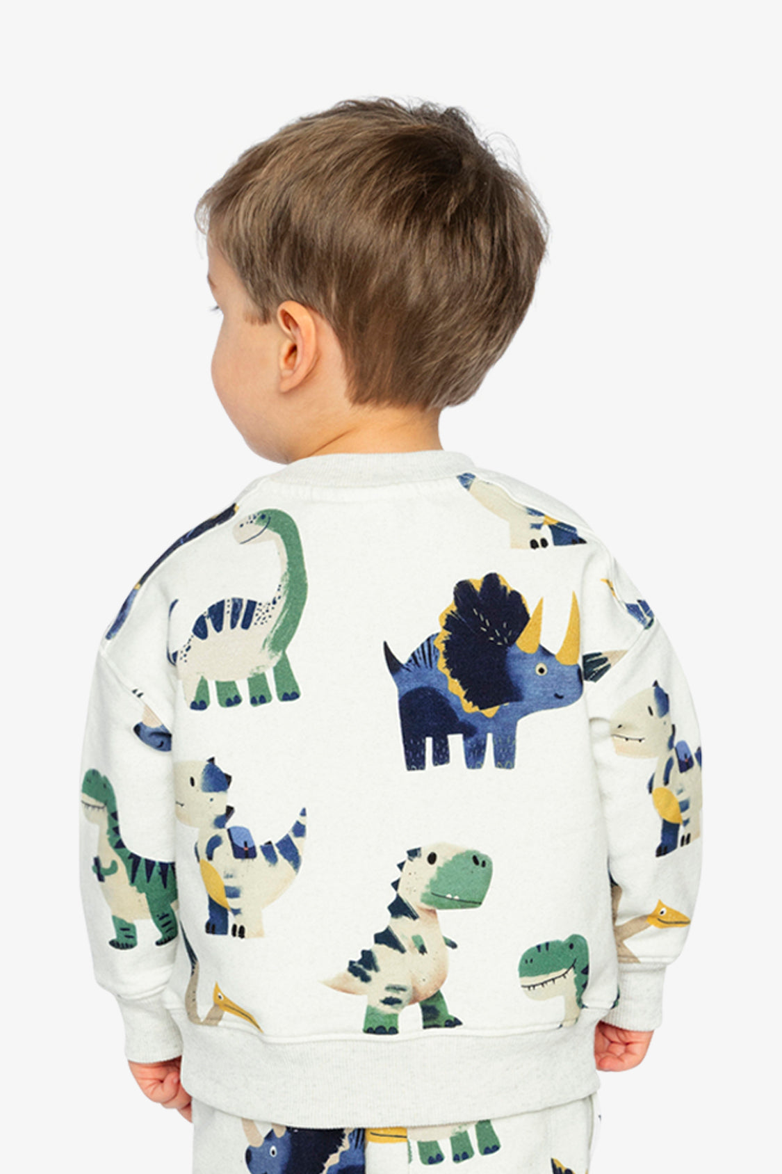 Fleece Sweatshirt Beige Dinosaur Print-4