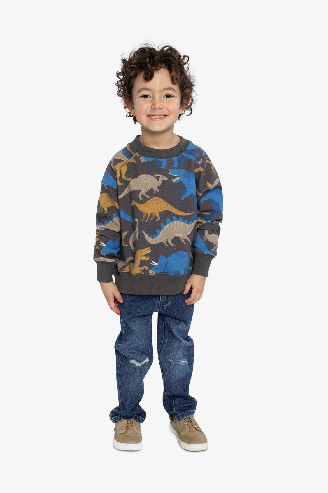 Fleece Sweatshirt Grey Dinosaur Print-4