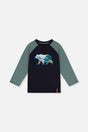 Raglan T-Shirt Dark Blue And Green-0