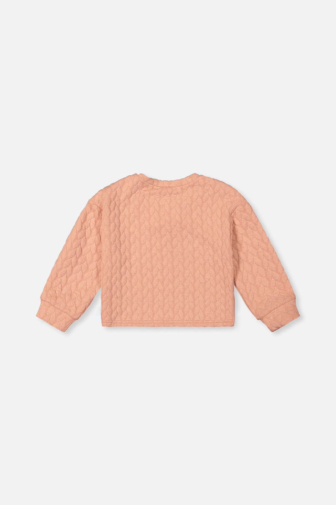 Back view of the Deux par Deux pink jacquard sweatshirt