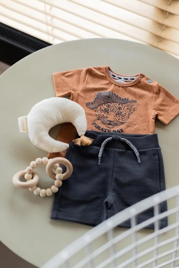 Boys Baby Set T-shirt With Shorts Rust Brown Grey Dirkje Jenni
