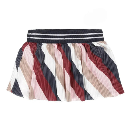 Girls Skirt Pleated Multicolor | Dirkje - Jenni Kidz