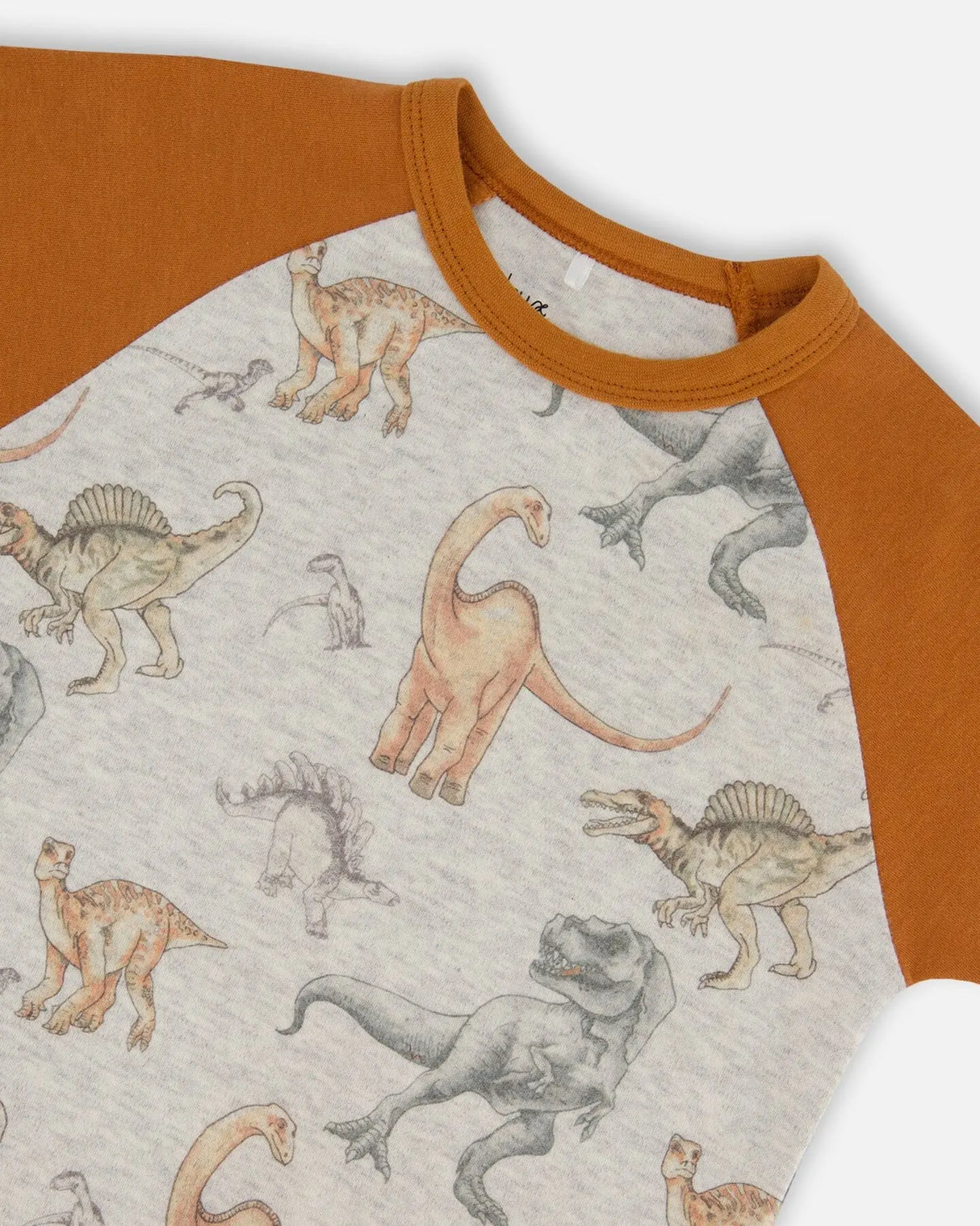 Organic Cotton Two-Piece Short Sleeve Top And Pant Pajama Set Dinosaur On Mottled And Tan Background | Deux par Deux | Jenni Kidz