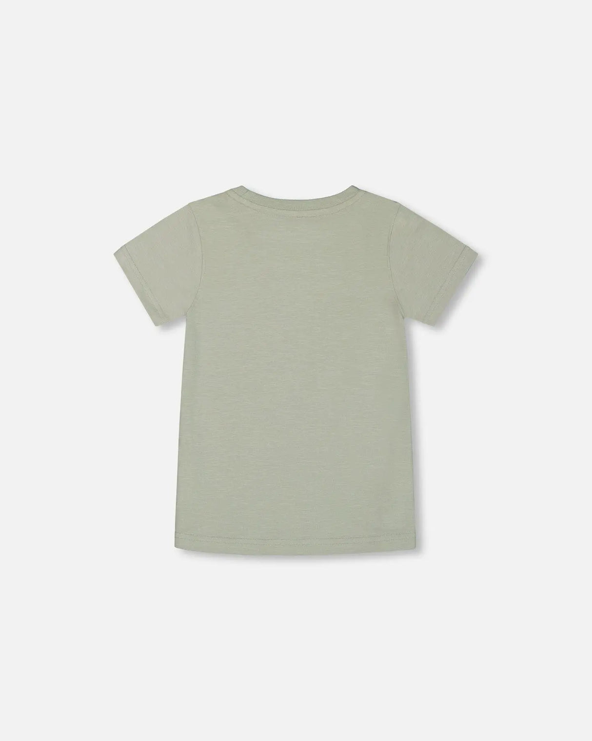 Short Sleeve Organic Cotton Graphic Tee Sage And Multi | Deux par Deux | Jenni Kidz