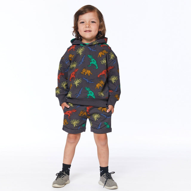 Printed French Terry Top With Hood Charcoal Grey Multicolor Dinosaurs-2