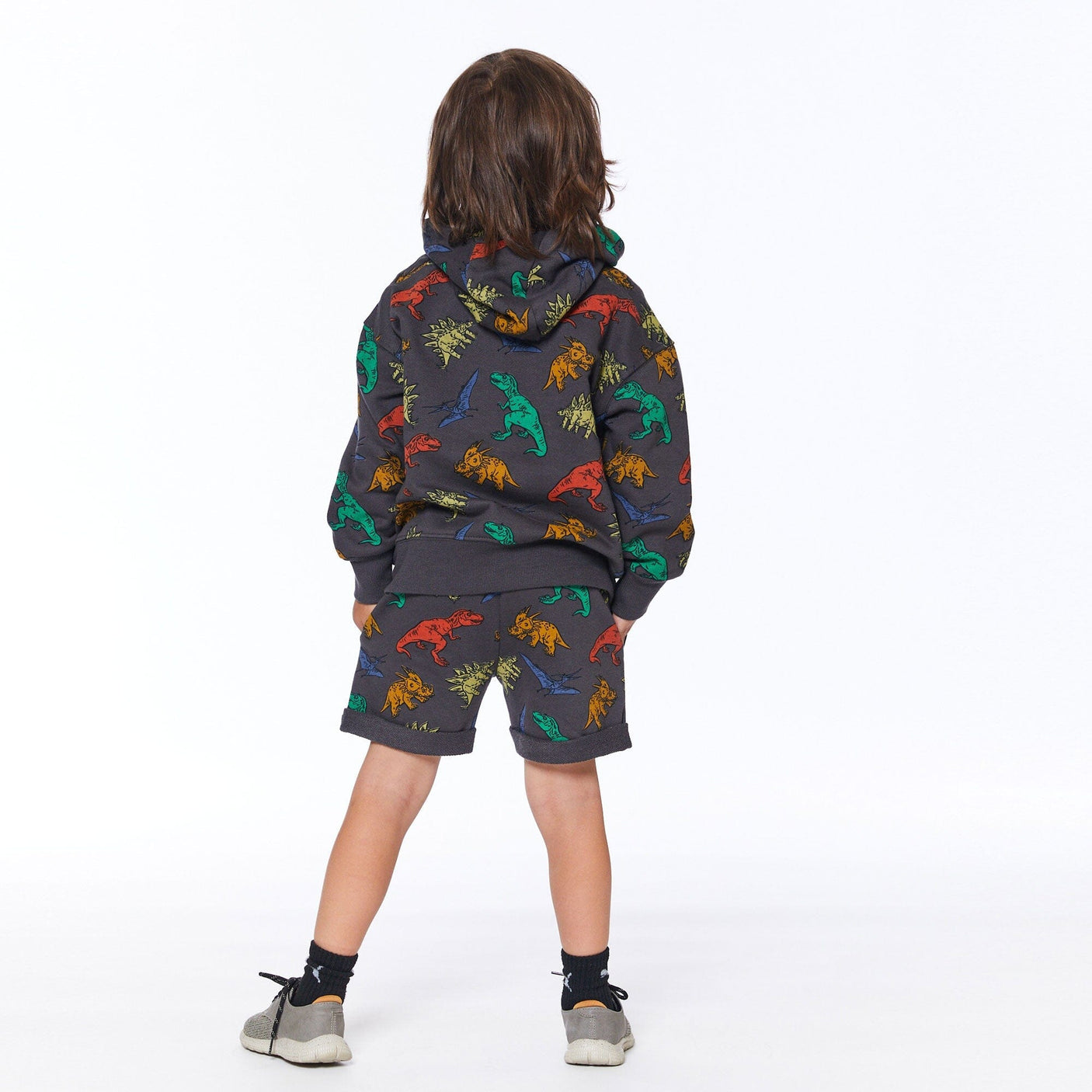 Printed French Terry Top With Hood Charcoal Grey Multicolor Dinosaurs-3