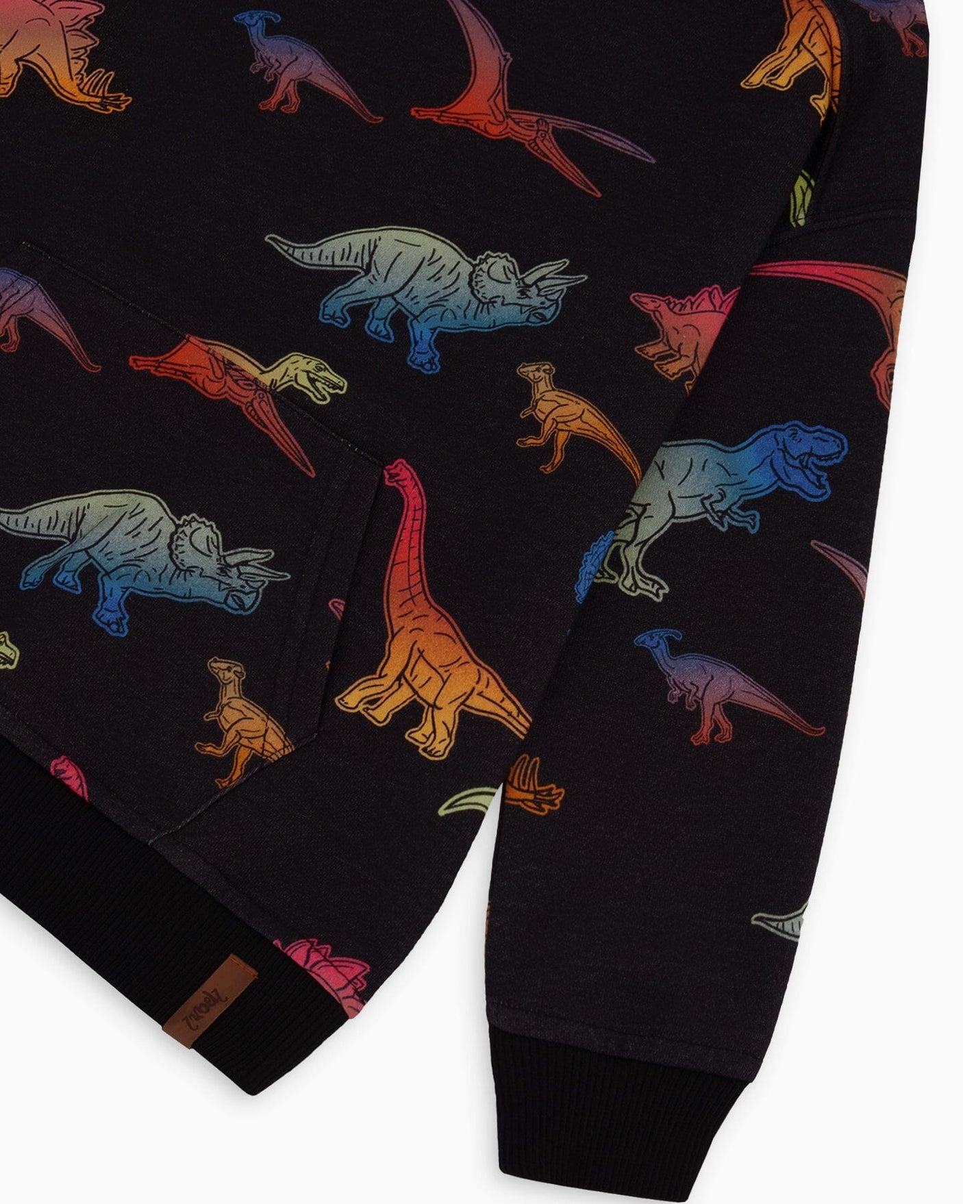 Printed Multicolor Dinosaur Fleece Hoodie Black-3