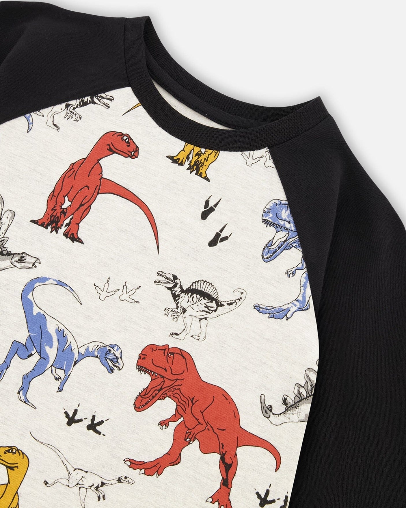 Raglan Jersey T-Shirt With Dinosaurs Print On Oatmeal Mix-4