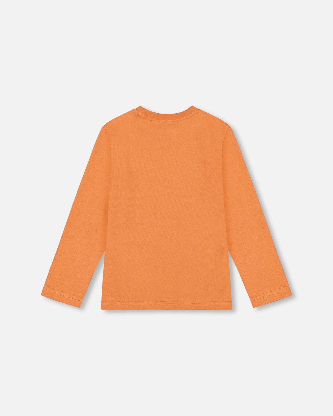 Jersey T-Shirt With Print Burnt Orange-2