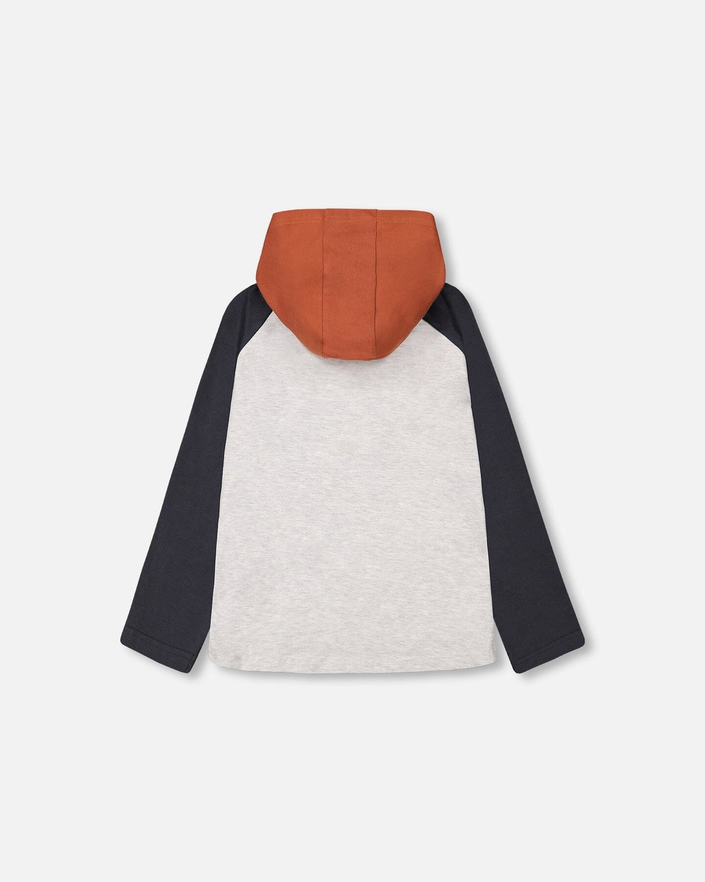 Hooded Jersey T-Shirt Oatmeal Mix And Ebony Grey Dino Print-2